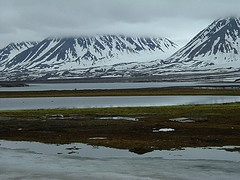 Climate change and the permafrost carbon feedback