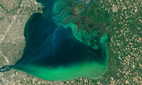 Phytoplankton blooms on lakes are increasing since the 1980s